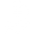 anchor (2)